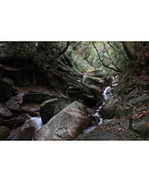 Canon Rf-s 18-150mm f/3.5-6.3 Is Stm Lens