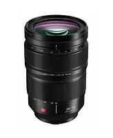 Panasonic Lumix S Pro 24-70mm f/2.8 Lens for L Mount