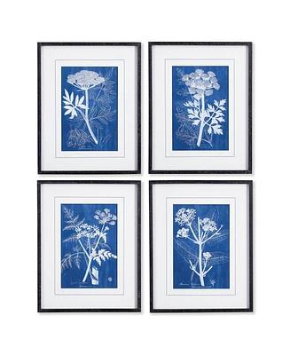 Cyanotype Queen Annes Lace Prints, Set Of 4
