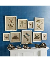 Framed Aviary Bird & Nest Habitat Prints, Set Of 9