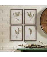 Petite Frond Prints Set of 4