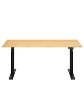 Flexispot E7-commercial W Electric Adjustable Standing Desk, Bamboo Top