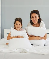 Square Pillow Insert