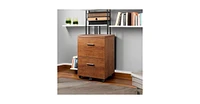 Devaise 2 Drawer Wood File Cabinet, Mobile Lateral Filing Cabinet with Storage, Letter Legal Size, Walnut