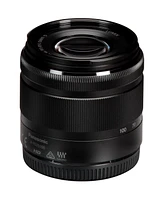 Panasonic Lumix G Vario 35-100mm f/4.0-5.6 Aspherical Lens Micro Four Thirds, Black