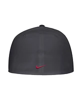 Nike Men's Anthracite Washington State Cougars On-Field Baseball Performance Fitted Hat