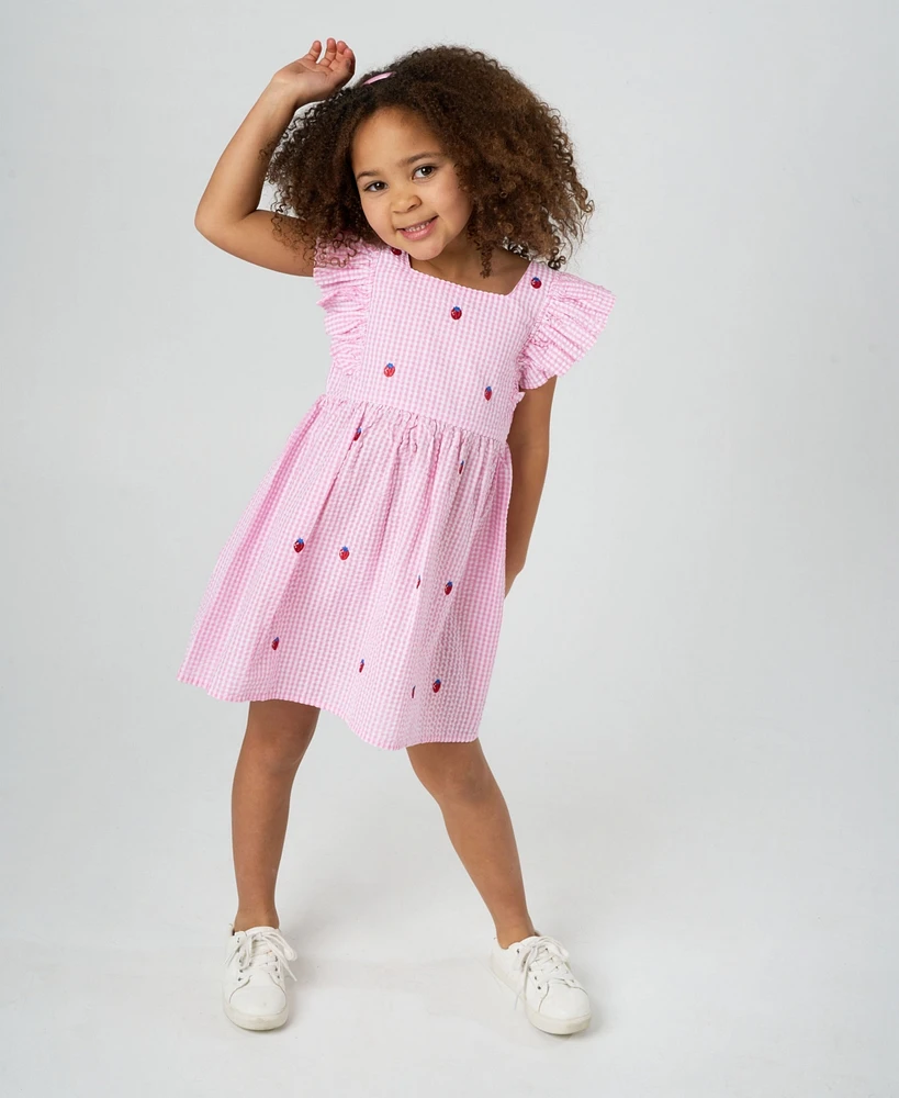 Rare Editions Toddler and Little Girls Strawberry Seersucker Dress