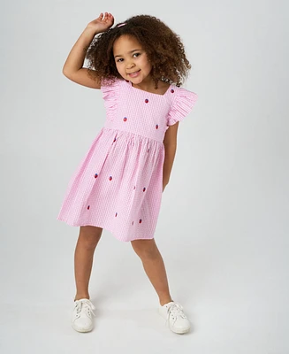Rare Editions Toddler and Little Girls Strawberry Seersucker Dress
