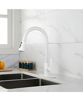 Kitchen Faucet with Pull Out Spraye