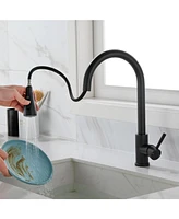 Kitchen Faucet with Pull Out Spraye