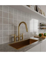 Modern Double Handle 3-Holes Deck Mount Bridge Kitchen Faucet with 2-Sprayer Patterns and 360 Swivel Spout in