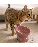 Elevated Cat Bowl: Ash Blush