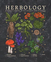 Deathly Hallows 2 Men's Herbology Short Sleeve T-Shirt
