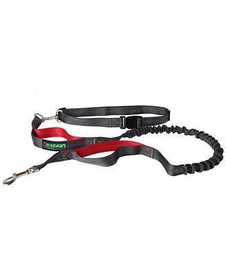 Hands Free Bungee Dog Leash