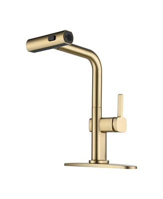 Single Handle Kitchen Faucet with Pull Down Sprayer 3-Function Sink Faucet, 360° Swivel