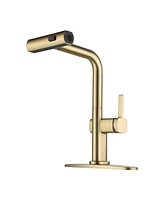 Single Handle Kitchen Faucet with Pull Down Sprayer 3-Function Sink Faucet, 360° Swivel