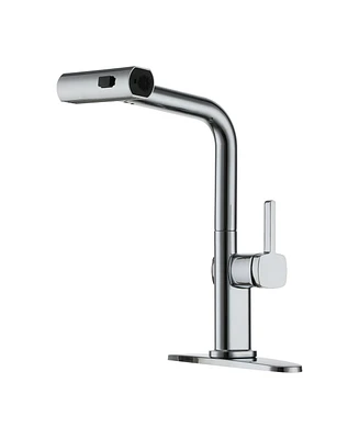 Single Handle Kitchen Faucet with Pull Down Sprayer 3-Function Sink Faucet, 360° Swivel in