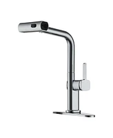 Single Handle Kitchen Faucet with Pull Down Sprayer 3-Function Sink Faucet, 360° Swivel in