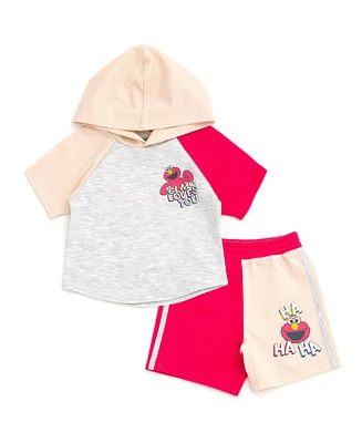 Sesame Street Little Boys Cookie Monster Pullover Hoodie and French Terry Shorts