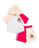Sesame Street Little Boys Cookie Monster Pullover Hoodie and French Terry Shorts