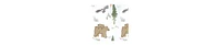 Hudson Baby Baby Boys Hudson Sleep Pod, Sweet Woodland, 0-2 Months