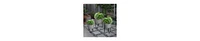 Industrial Planter Set – 3 Galvanized Tubs with Hairpin Metal Legs