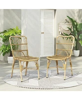 Outdoor Wicker Patio Dining Chairs (Set of 2), Natural