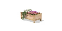 Farmhouse 24-in x 48-in x 19-in Cedar Elevated Victory Garden Bed