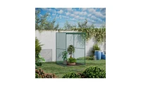 Walk-in Mini Greenhouse for Compact Gardening and Plant Protection