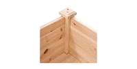 High Raised Garden Bed Planter Box for Easy Gardening and Planting