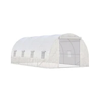 Spacious Greenhouse for Growing Plants and Expanding Garden Space