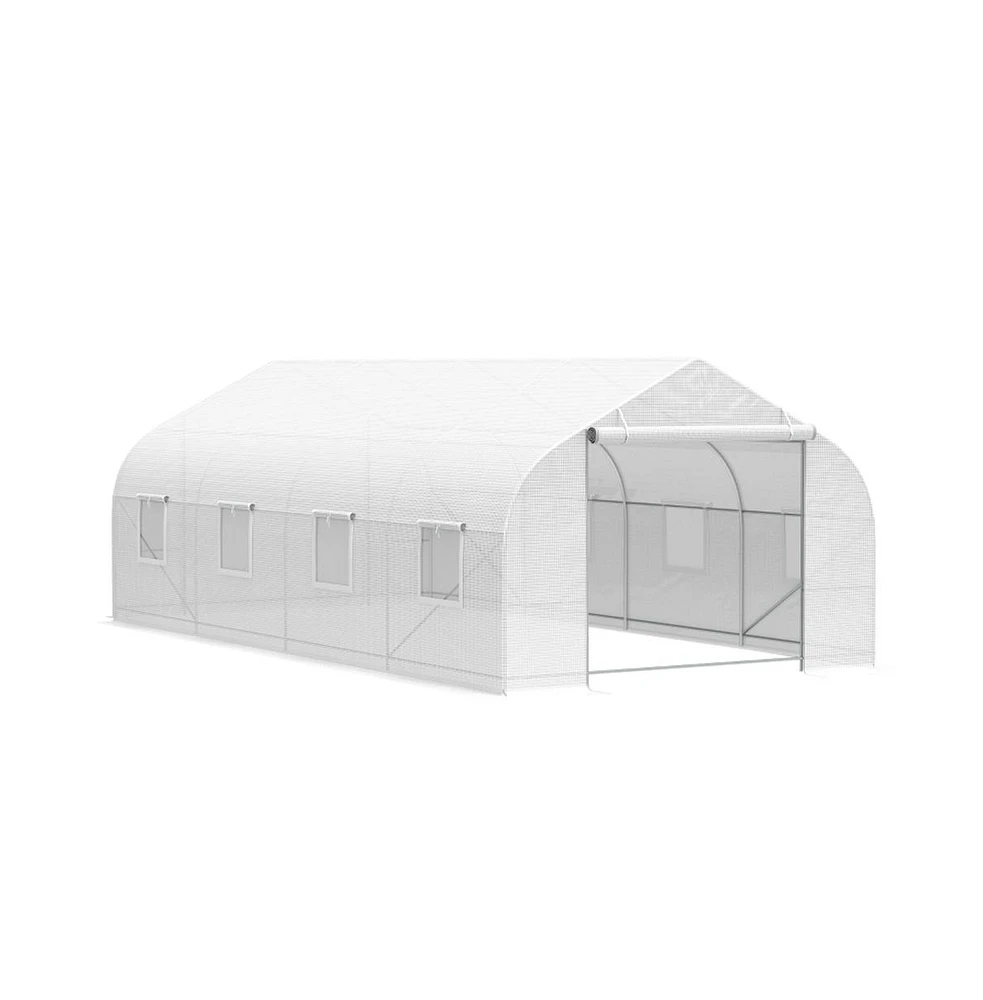Spacious Greenhouse for Ideal Plant Growth and Year-Round Gardening