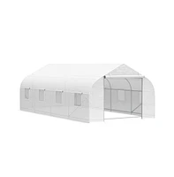 Spacious Greenhouse for Ideal Plant Growth and Year-Round Gardening