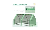Walk-In Greenhouse for Gardening – Spacious Outdoor Plant Growing Shelter