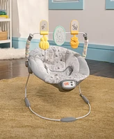 Bright Starts Baby Disney Winnie the Pooh Classic Pals Vibrating Bouncer