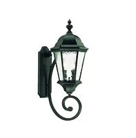 Two-Light Carousel Lantern Wall Light – Stylish Lighting for Exterior Spaces