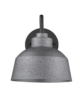 Barnes 1-Light Gray Wall Light