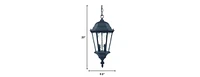 Two-Light Carousel Lantern Hanging Light – Stylish Lighting for Home & Garden
