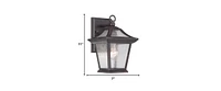 Antique Bronze Birdhouse Shape Outdoor Wall Light