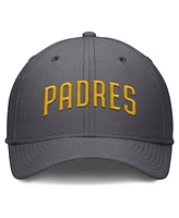 Nike Men's Gray San Diego Padres Swoosh Performance Flex Hat