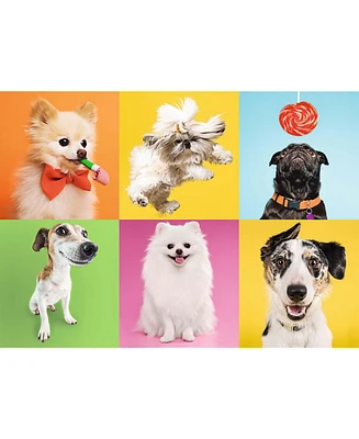 Trefl Red 500 Piece Puzzle - Dogs