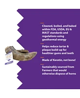 Lamb Horn W/ Marrow Dog Chew - Small