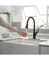 Single-Handle Pull-Down Sprayer 3 Spray High Arc Kitchen Faucet With Deck Plate in Matte Black