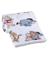 Bedtime Originals Disney Baby Winnie the Pooh & Friends Fleece Baby Blanket