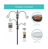 Complete Bird Feeder Set with Metal Stand and Multiple Feeders for Outdoor Watching