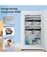 Zafro Compact Upright Freezer, 2.3 Cu Ft with Handle, Removable Shelves, Adjustable Thermostat, Low Noise Design for Bedroom, Apartment or Office