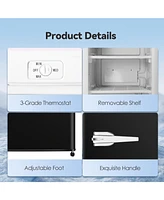 Zafro Compact Upright Freezer, 2.3 Cu Ft with Handle, Removable Shelves, Adjustable Thermostat, Low Noise Design for Bedroom, Apartment or Office