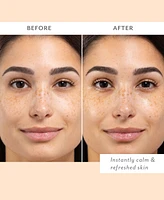 Patchology Skin Remedy Calm & Protect Micro Mist