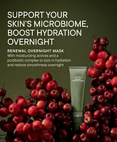 Babor Microbiomic Renewal Overnight Mask, 2.53 oz.