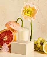 Apotheke Sea Salt Grapefruit Votive Scented Candle, 2 oz.